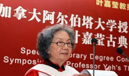 91华人国产,融合创新，共筑繁荣未来