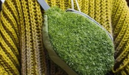 青青青草国产免费,国产影视的清新之作