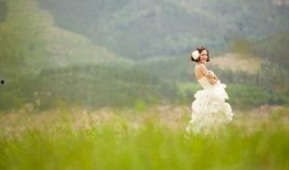 青青青草国产免费,国产影视的清新之作