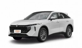 国产v,引领科技潮流，打造民族品牌新标杆